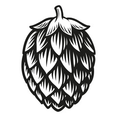 A black and white vector illustration of a hop isolated on white background.