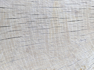 Gently pink background, texture of natural wood, saw cut wood