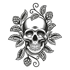 A beer skull vector illustration, a skull with hop branches isolated on white background.