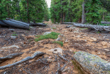 Mountainside hiking trail in the forest. Echo Lake park, Colorado