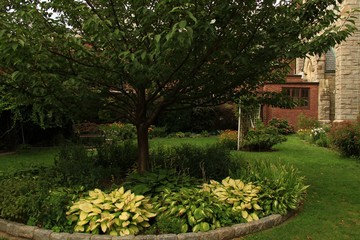 Peaceful flower garden
