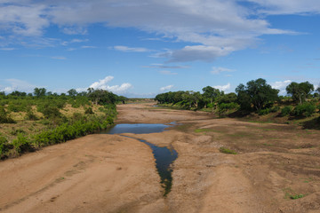 Dry Shingwedzi River Bed