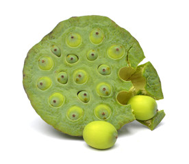 Lotus seed isolate White background © ImagesMy