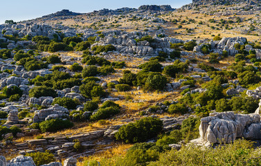 National natural reserve landscape with rocks, mountains, erosion, karst, hike in The Sierra del Torcal, Andalusia, Antequera, Spain