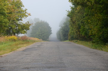road in autumn