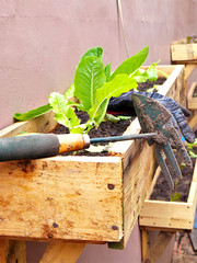 gardening tools on wooden background