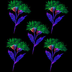 thistle, wildflower, flowering weed, thorny plant, summer print