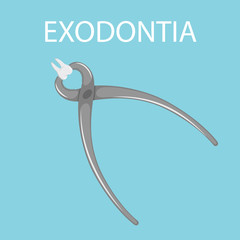 Dental tooth extraction. Exodontia. The tooth in the dental forceps. A white clean tooth is clamped between the forceps. Professional dental instrument. Isolated flat vector illustration.