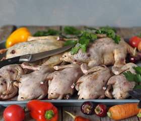 Opening of the autumn hunting season.Carcasses of wild ducks, plucked and washed, prepared for roasting with vegetables.