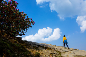 A young lady with yellow top trekking through a ridge towards Tunganath Temple in the Himalaya in India