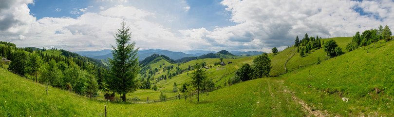 Carpathian mountains panorama with sunlight landscape in summer