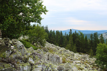 Nice view of the mountains. Background. Landscape.