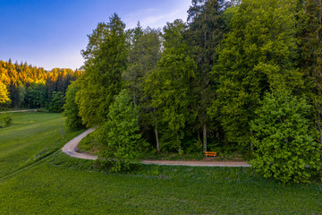 A bench under a forest lane with a country road in front, idyllic place to chill.
