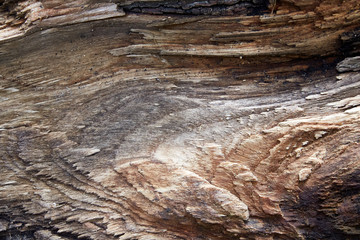 wood texture