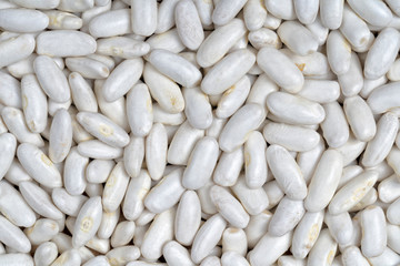 Large white beans to prepare the food known as Asturian fabada