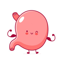 Cute happy funny stomach organ show muscle