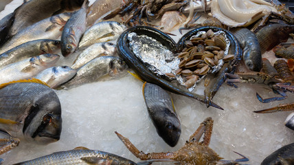 Various seafood on ice