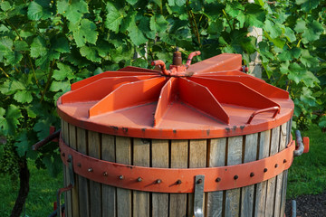 An old style winepress on a vineyard
