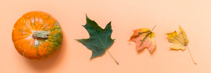 Fototapeta premium Autumn background with maple leaves and pumpkins. Frame of fall harvest on aged wood with copy space. top view and banner.