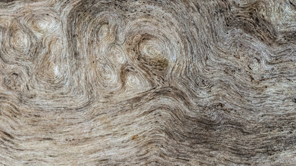 Cool unusual grunge wood texture background of dried tree. Natural wooden texture wallpaper.  Wooden cutting board top view.