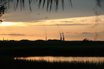 Coal-fired power plant beyond the marsh