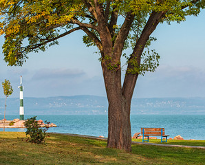 Lake Balaton with bench in autumn