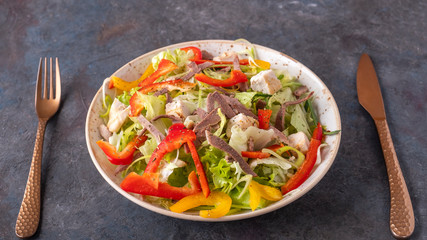 Beef tongue, chicken fillet and fresh vegetable on a plate. Diet salad served with fork and knife