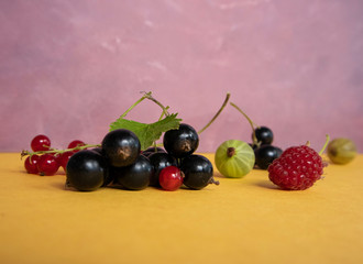 A branch of black and red currants, raspberries, gooseberries on a yellow-purple background. Minimalism. Banner. Wallpaper.