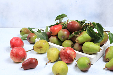 Autumn composition of apples and pears on a sunny table, thanksgiving day background, harvesting, healthy natural food concept, detox diet and body cleansing, place for text, banner for screen