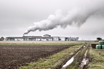 Fototapeta na wymiar Landwirtschaftliche Fabrik im schweizer Seeland. Rauch, Qualm und Nebel. Symbol Umweltverschmutzung. Verarbeitung von Zuckerrüben. Schweiz