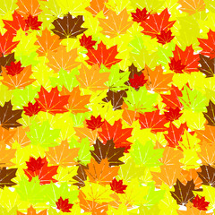 Naklejka na ściany i meble Autumn maple leaves seamless pattern in vector
