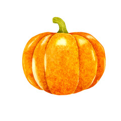 Pumpkin watercolor illustration hand drawn. Perfect design element for greeting card, t-shirt print, eco design, stickers ets.