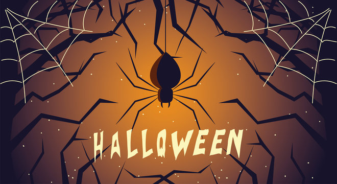 halloween card with spider in the dark night