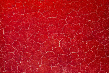 Africa, Tanzania, Aerial view of patterns of red algae and salt formations in shallow salt waters of Lake Natron