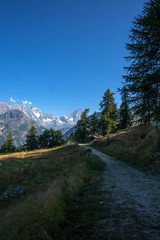 Fototapeta premium landscape