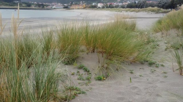 Beach in Cariño, coastal village in A Coruña. Galicia,Spain