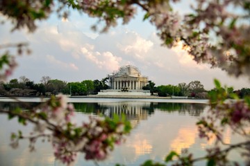 Fototapeta na wymiar Jefferson Memorial in Washington D.C. with cherry blossoms at sunset