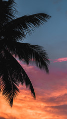Fototapeta na wymiar orange coloured sunset sky with coconut leaves.