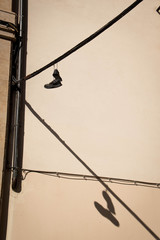 Zapatillas colgadas de un cable de tensi&oacute;n y sus respectivas sombras