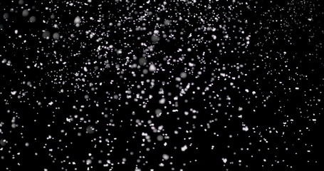 Cloud of white snowflakes floating in the air. The shiny flakes are falling slowly from the sky against an isolated black background