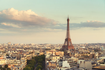 Fototapeta na wymiar Skyline of Paris with Eiffel Tower, France