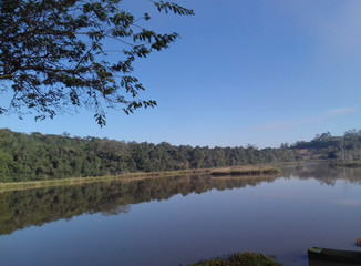 lake in the forest