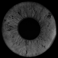 human iris black and white