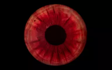 Foto op Plexiglas red human iris © Lorant