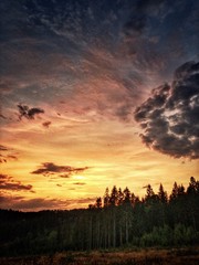 Fototapeta premium Sunset over forest.