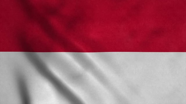 Monaco flag waving in the wind. National flag of Monaco. Sign of Monaco seamless loop animation. 4K