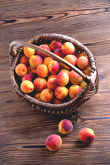 Natural ripe apricots in a wicker basket on a natural wooden background,  copy space top view