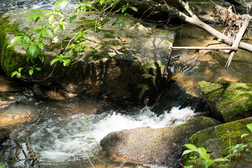 Mountain stream falls