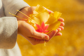 鮮やかな葉を持つ女性の手