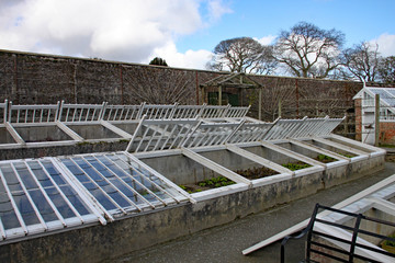 Fototapeta na wymiar vegetable in cold frames at the lost Gardens of Heligan. Some are propped open to allow air circulation.